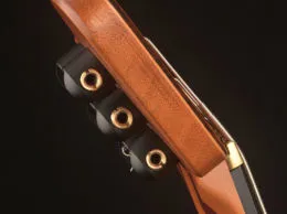 Quasar T900 XRH - Top in Figured Maple - Mahogany