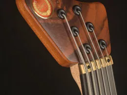 Quasar Extraharmonic - Top in Santos
- Naturale
