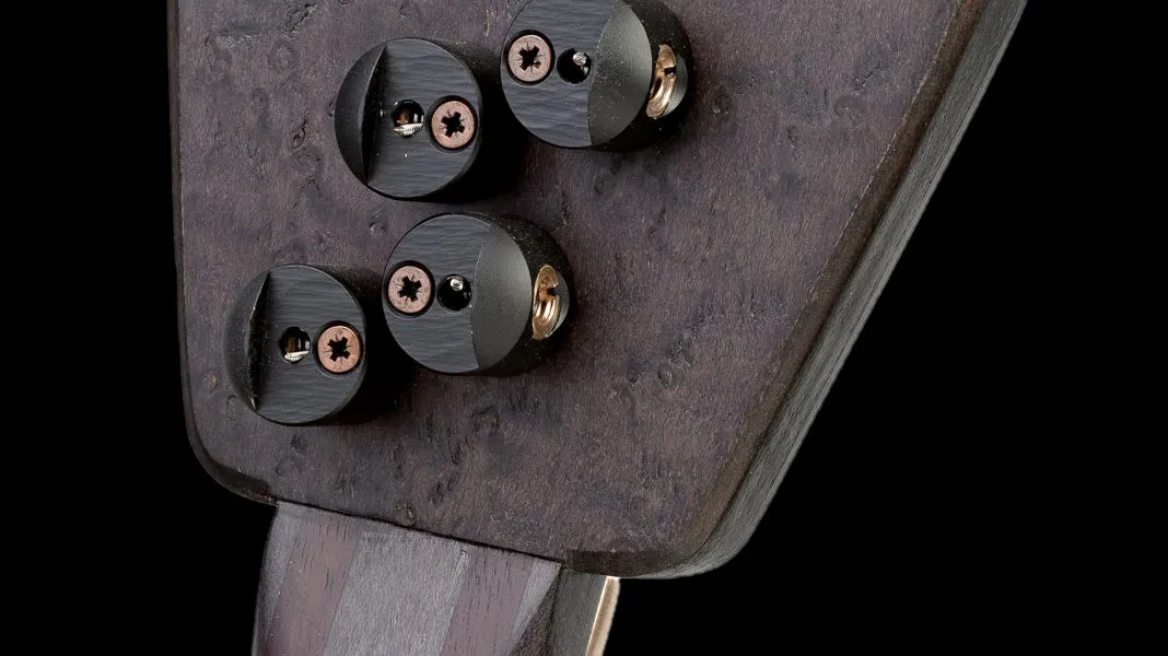 Laurus bass headstock rear