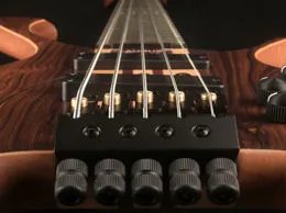 Federico Malaman Signature Bass - Top in Santos - Natural